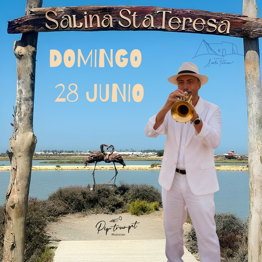 MODELO PARA WEB 2